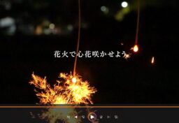 打上げ花火の動画