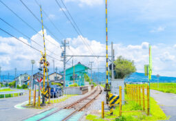 地方創生や地域密着型ビジネスの広がりとともに、ローカル志向のデザインが注目されています。地域資源や文化、歴史をデザインに落とし込むことで、単なる商品ではなく地域の物語を伝えるツールとして機能します。例として、北海道の「白い恋人」ブランドは、地元の雪景色をコンセプトにしたデザインで全国に知名度を広げました。今後、特に中小企業や地方ブランドでは、ローカルアイデンティティを活かしたデザインがブランド価値を高める重要な戦略となっていくでしょう。