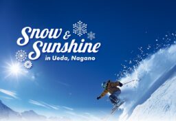 LPページデザイン