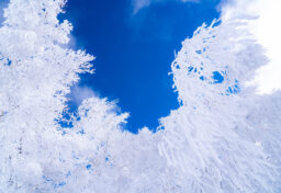 上田市デザイン会社　年末年始営業のお知らせ