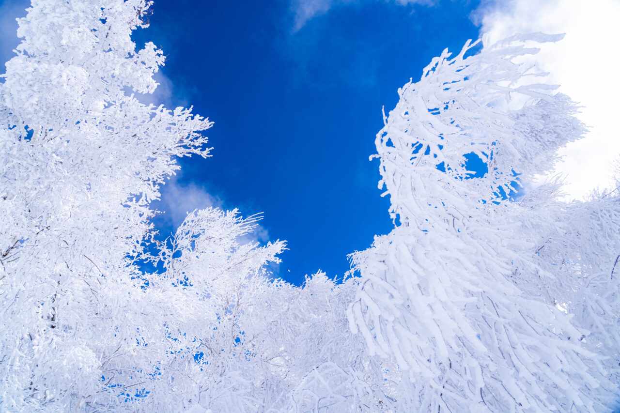 年末年始営業のお知らせ
