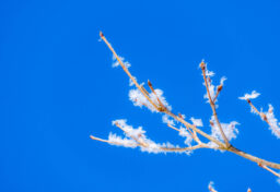 新年あけましておめでとうございます。 2026年も、株式会社間島宣伝事務所は「挑戦する人のそばに立つ存在」でありたいと考えています。 小さな一歩に寄り添い、その人の「やってみたい」を形にする。 その積み重ねが、地域の経済を少しずつ温め、私たちのまわりを明るく豊かにしてくれると信じているからです。